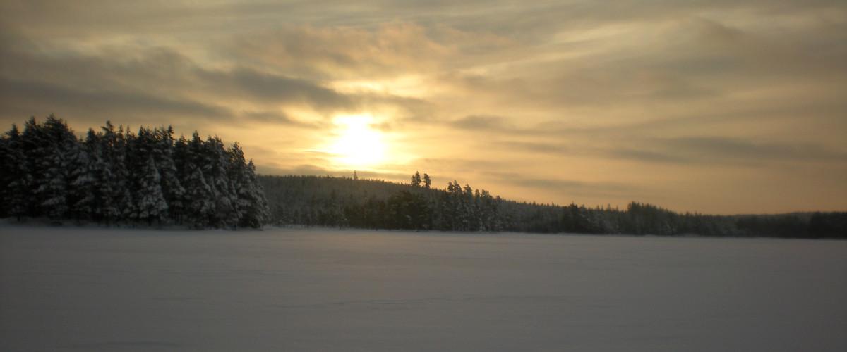 Stor-Älgsjö