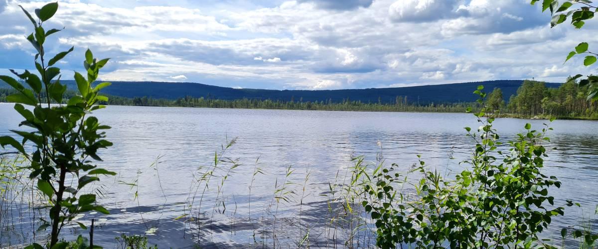 Tallsjö Abbarvattnet Skalmsjön mfl - Image 1