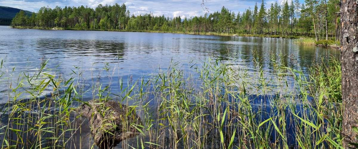 Tallsjö Abbarvattnet Skalmsjön mfl - Image 2