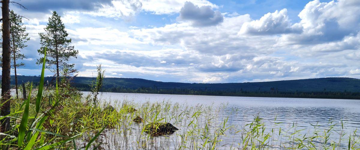 Tallsjö Abbarvattnet Skalmsjön mfl - Image 4