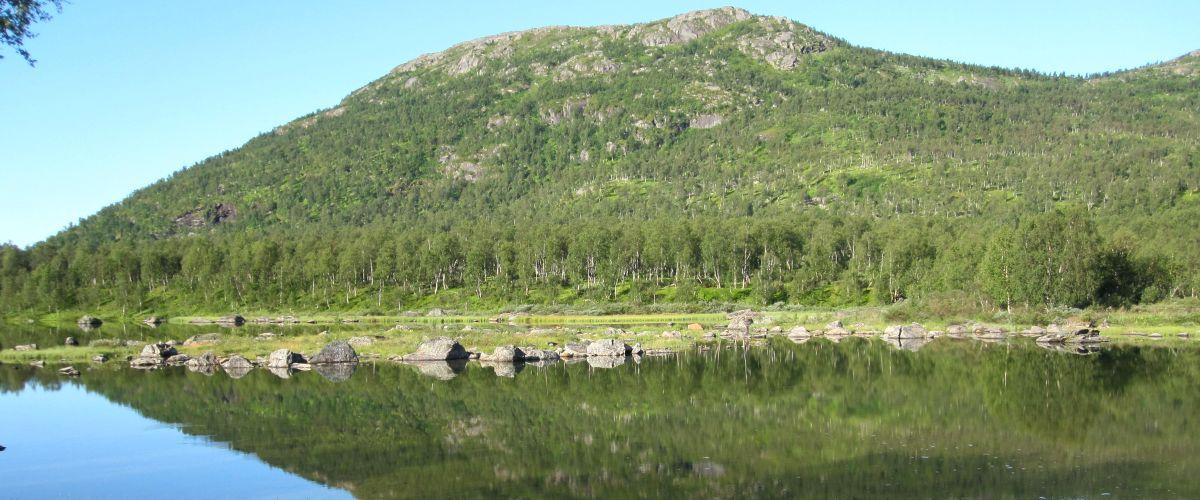 Överuman - Image 1