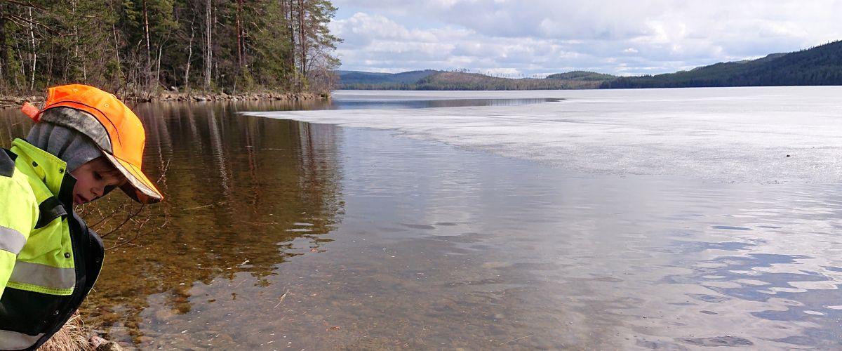 Flottringen, Bensjön, Bodtjärn Dysjön - Image 2