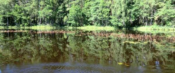 Lagan, Ruskån och Härån - Image 2