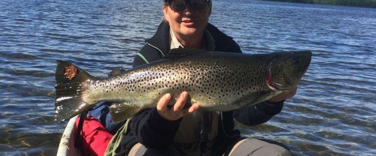 En praktfull öring