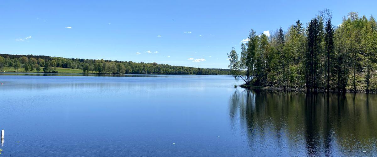 Svansjön