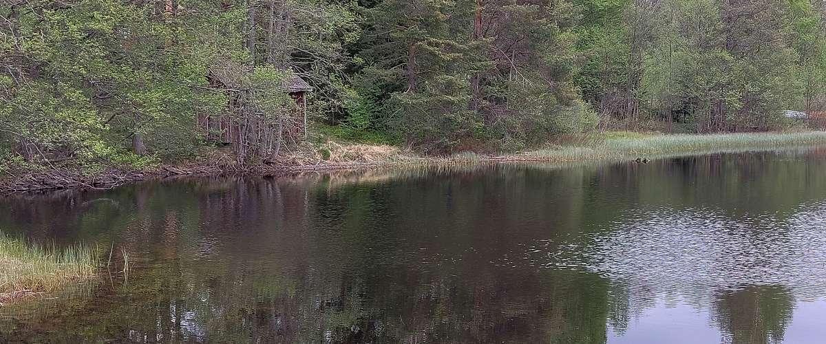 Kalvensjöarnas FVOF - Image 2