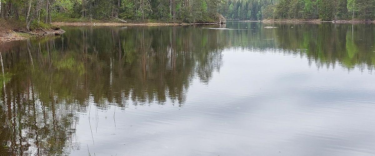 Kalvensjöarnas FVOF - Image 3