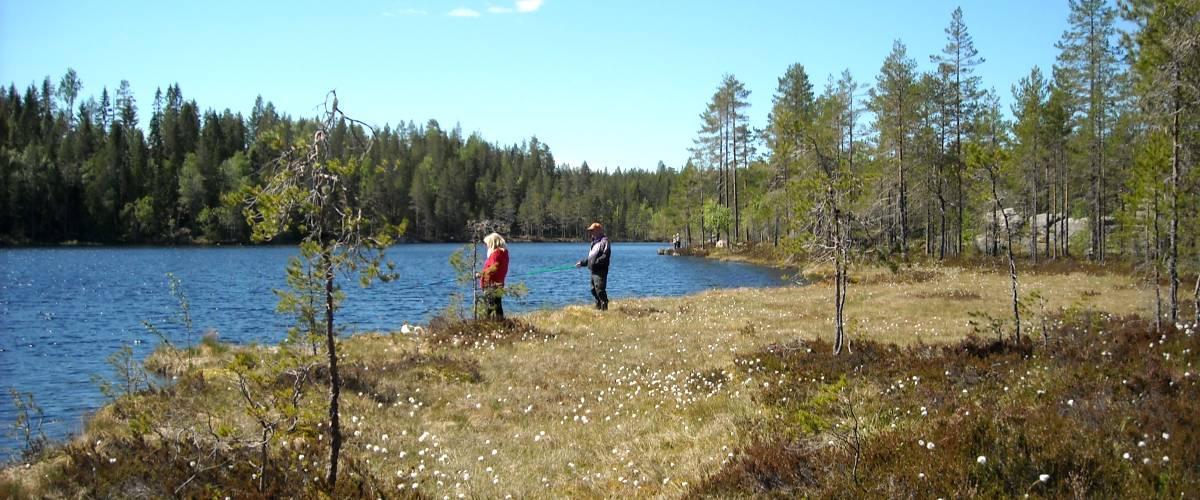 Metartävling nationaldagen