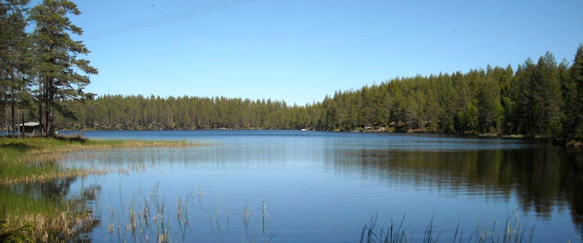 Vy över Trehörningen