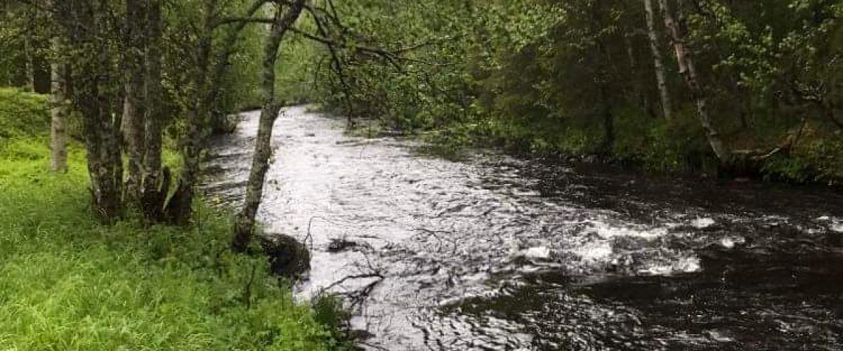 Lubbsbäcken