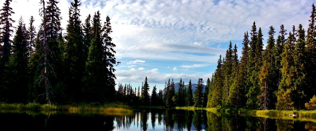 Forstjärn, Rönnösjön, Storån, Yttre Oldsjön, Långsån till Långsåfallet. - Image 3