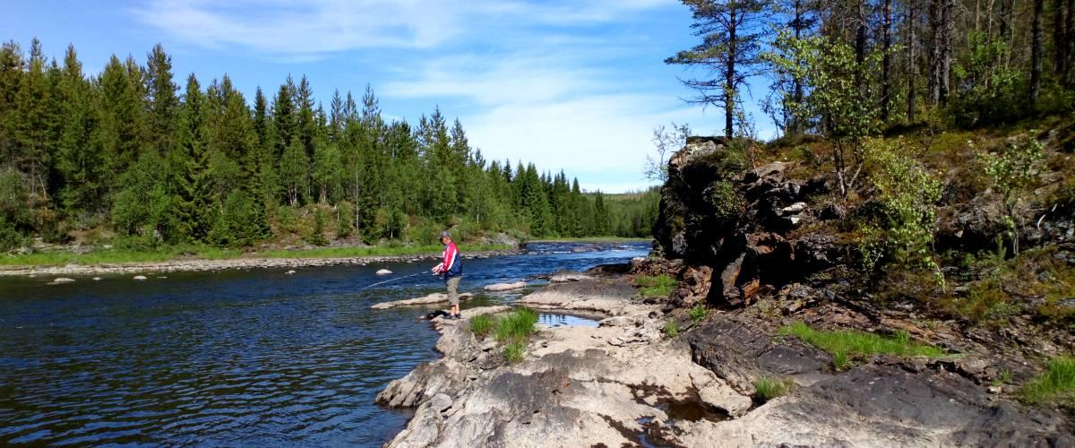 Forstjärn, Rönnösjön, Storån, Yttre Oldsjön, Långsån till Långsåfallet. - Image 5