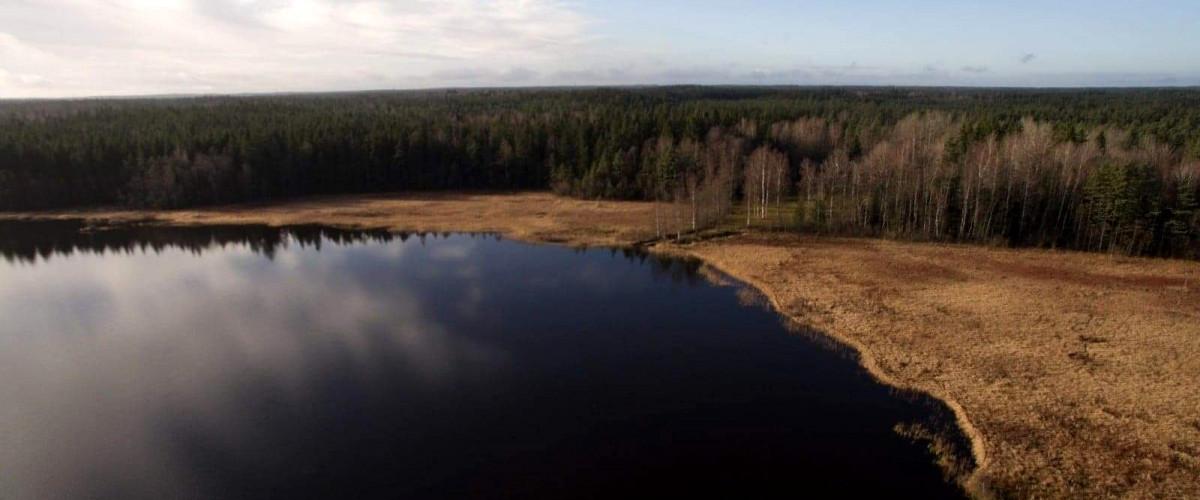 Rammsjöns FVOF - Image 2