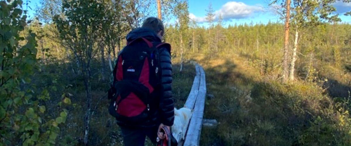 Pentäsjoki FVOF - Image 2