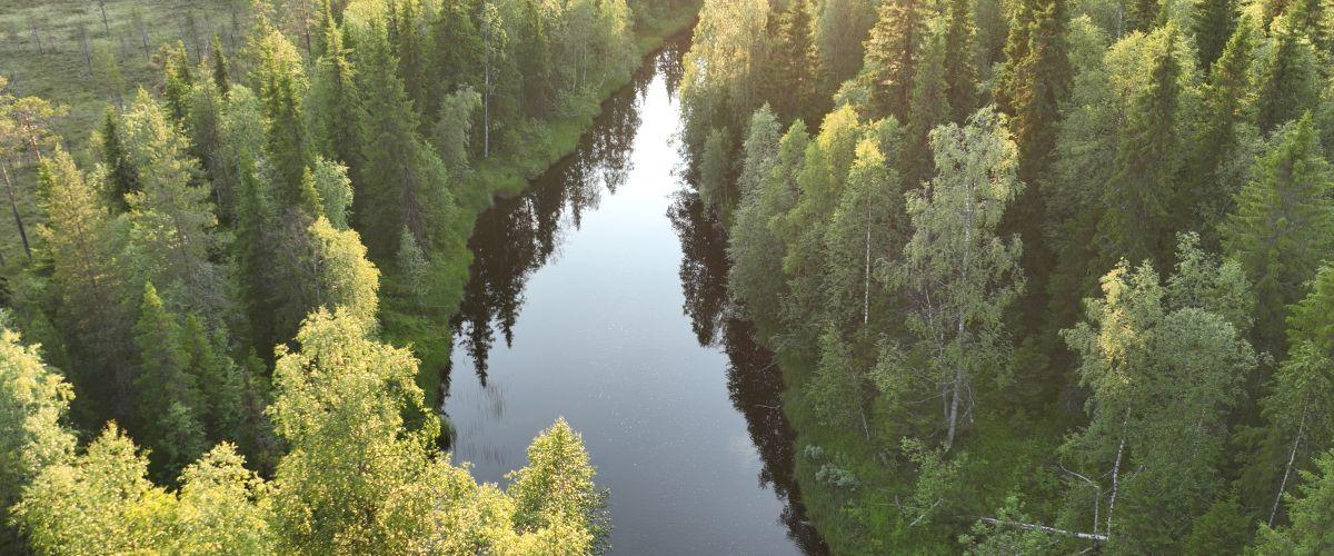 Pentäsjoki FVOF - Image 6