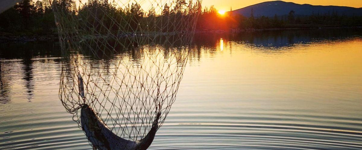 Stora Blåsjön m fl vatten - Image 10
