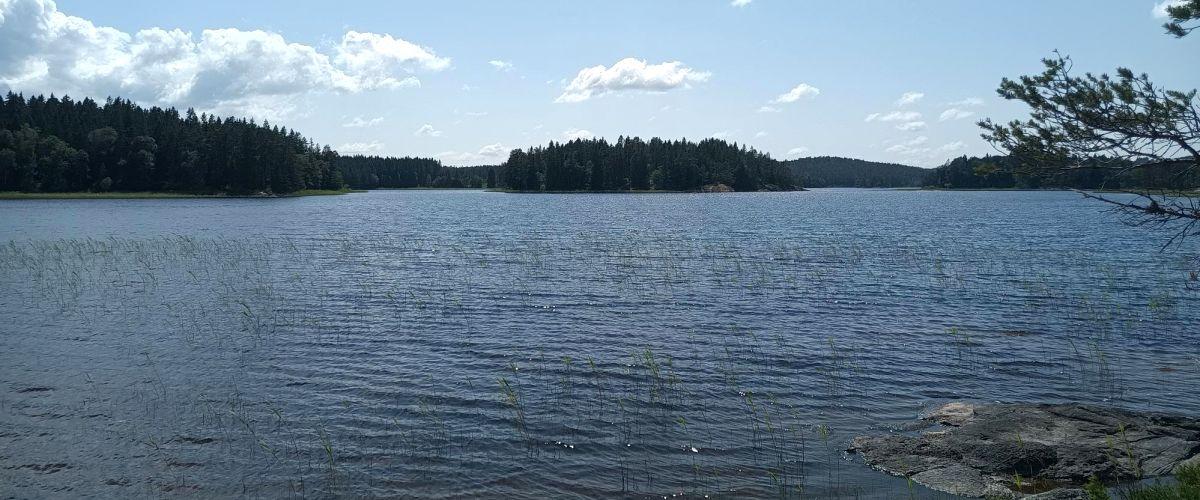 Mellan-Kornsjöns FVOF - Image 2