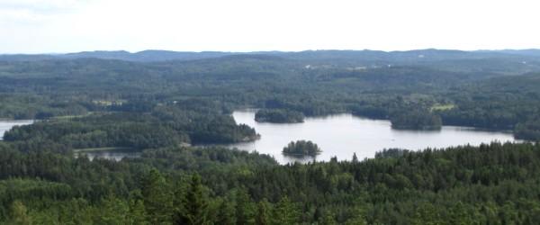 Bunn (Norra och Mellan) - Image 1