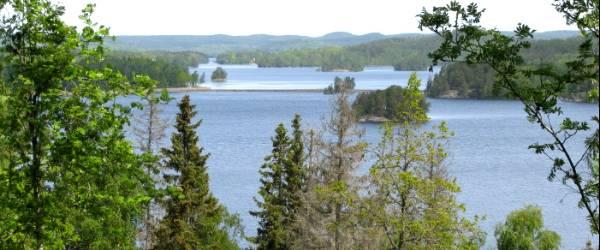 Bunn (Norra och Mellan) - Image 2