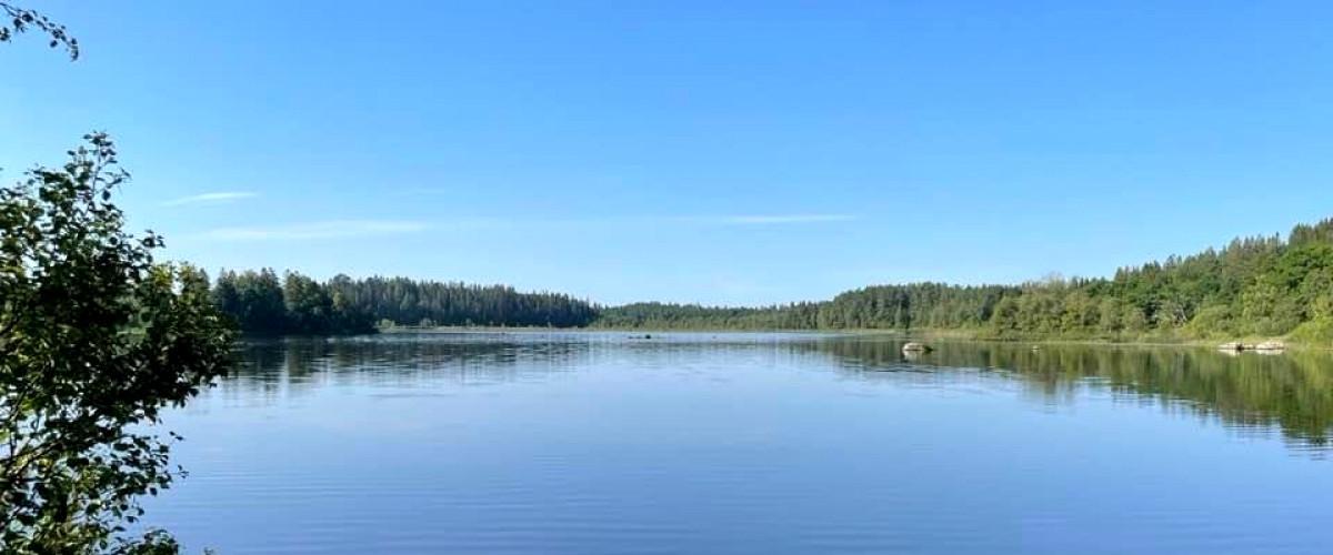 Grosken - Image 1
