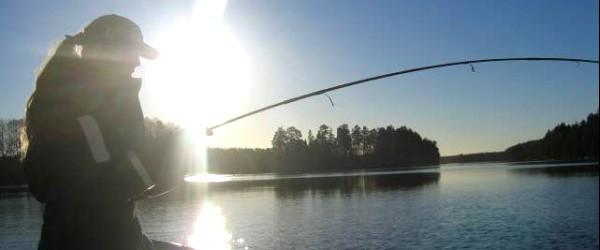 Photo of Dalälven (Untra kraftverk till Älvkarleby)
