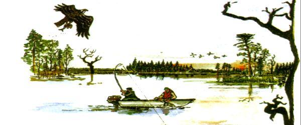 Dalälven (Untra kraftverk till Älvkarleby) - Image 5