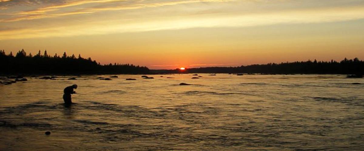Åman Åmsele - Image 1