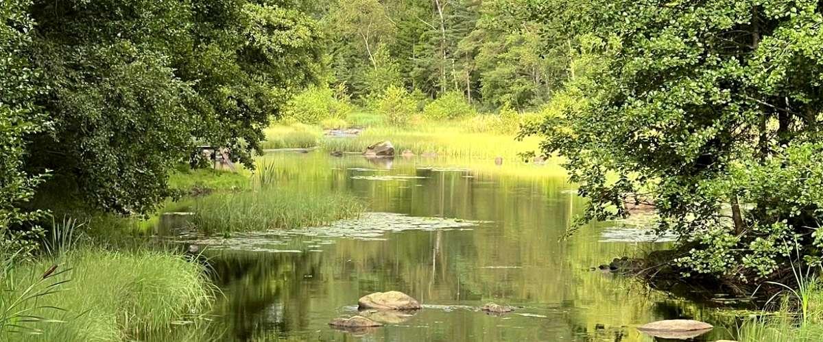 Mölndalsån Östra - Image 1