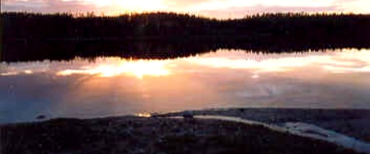 Photo of Dammsjön (Vännäs)
