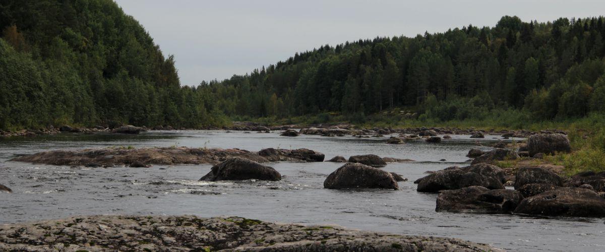 Umeälvens Forsfiskeområde - Image 4