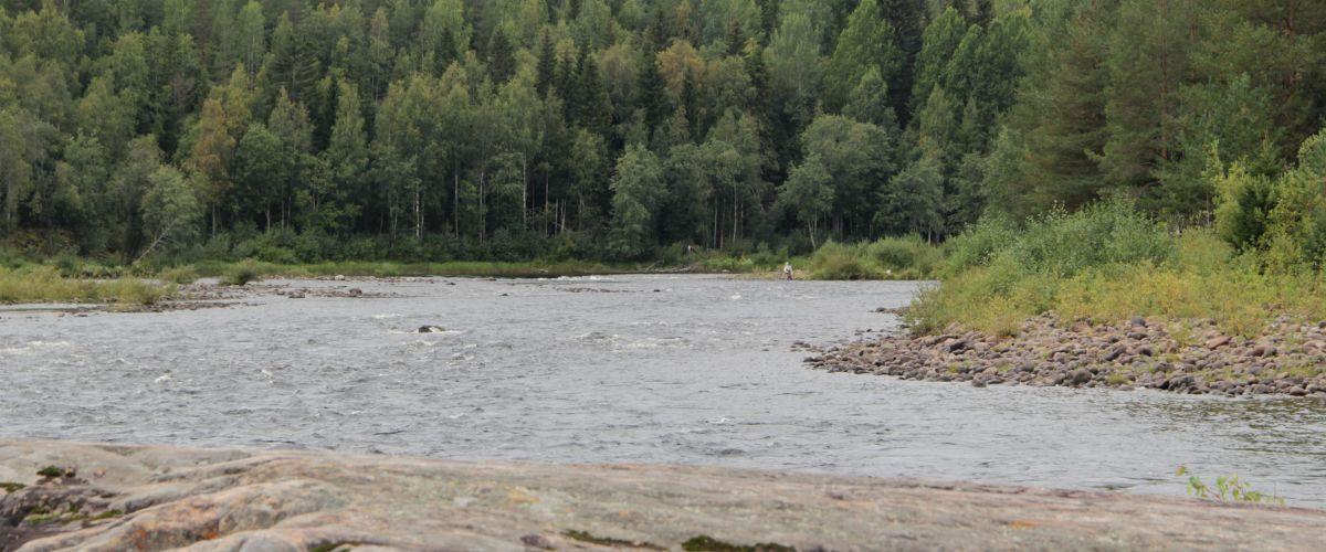 Umeälvens Forsfiskeområde - Image 5