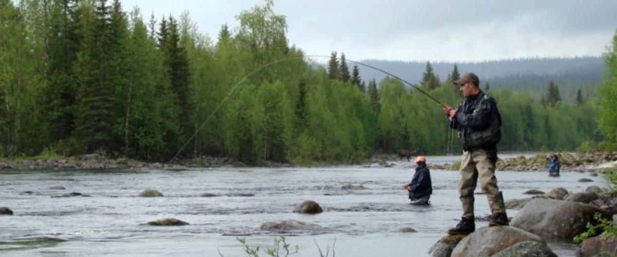 Juktåns Mellersta - Image 1