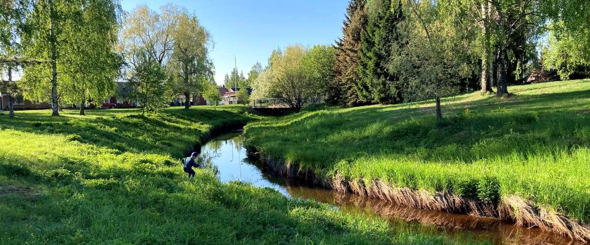 Tvärån maj 2024