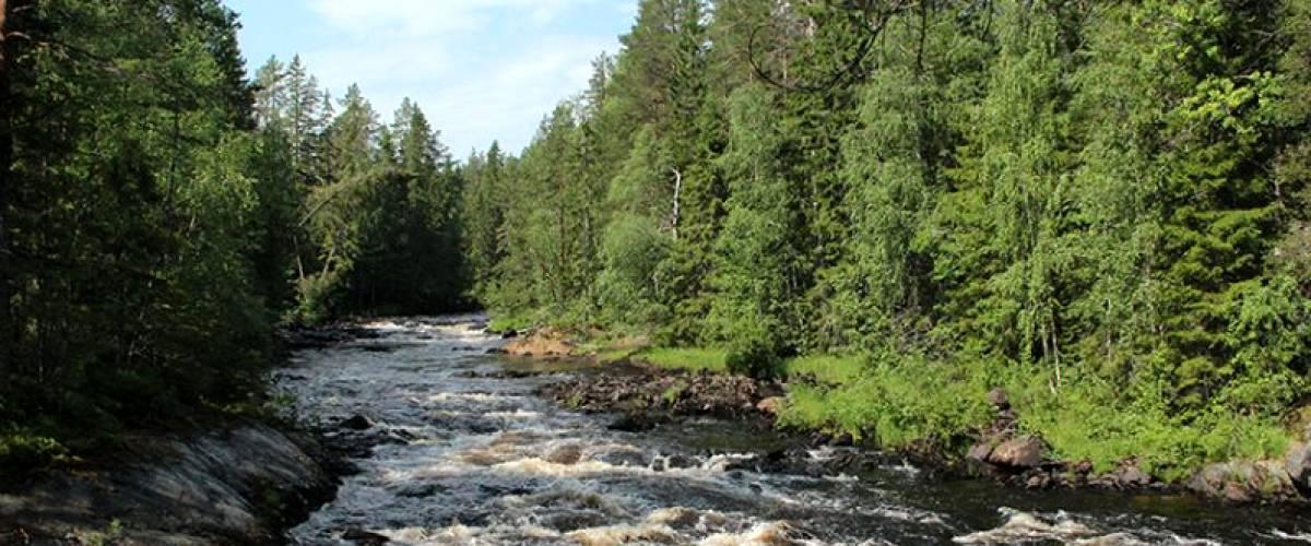 Sävarån - Image 1