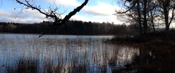 Emten (Ämten) och Flämsjön - Image 6