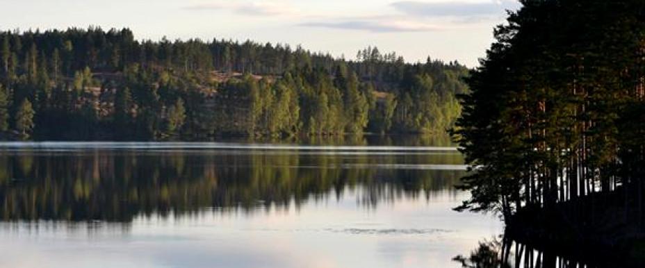 Sävsjön - Image 3