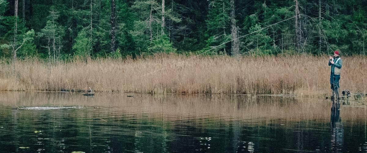 Sandasjön - Image 8