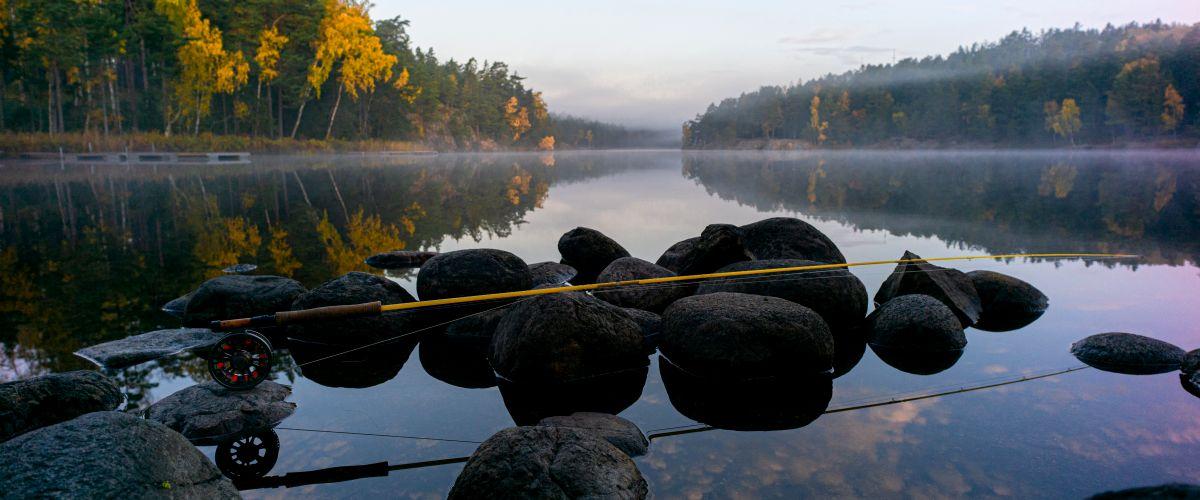 Sandasjön - Image 4