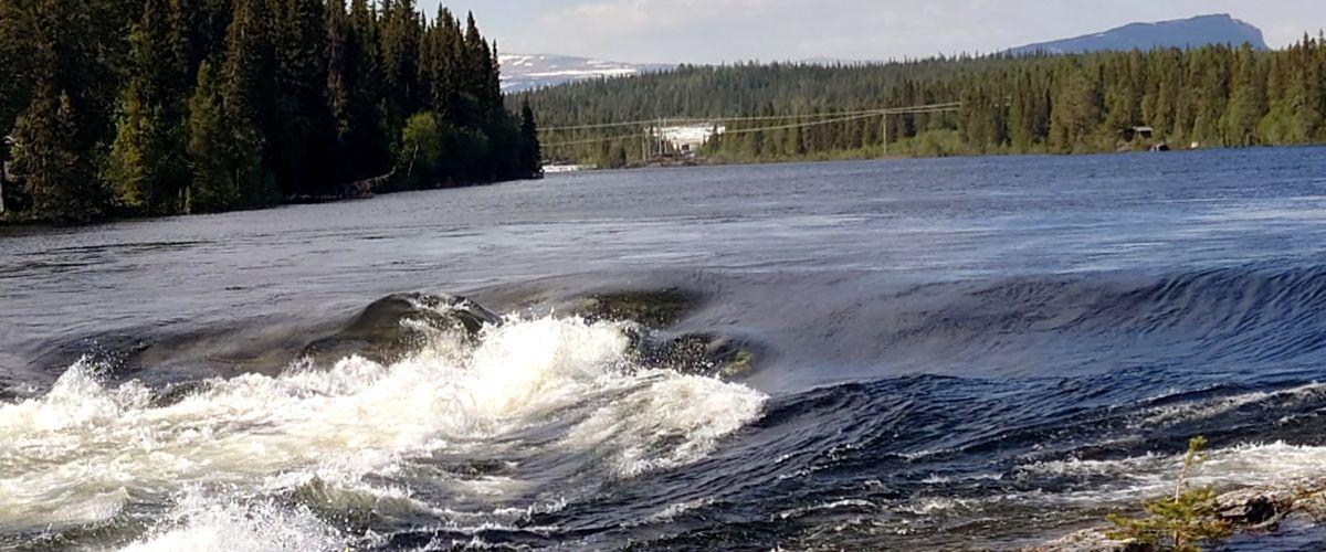 Bieliteforsen, strömnacken vid Långselet