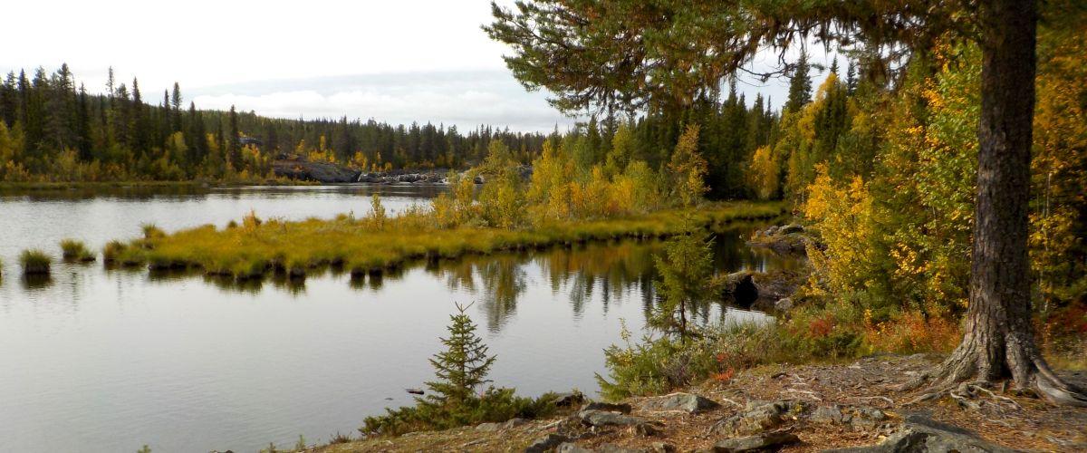 Holmselet, Hällfors, Kultsjöåns FVO