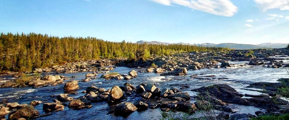 Litsjöforsen