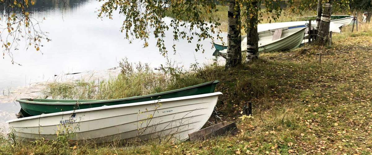 Båtar