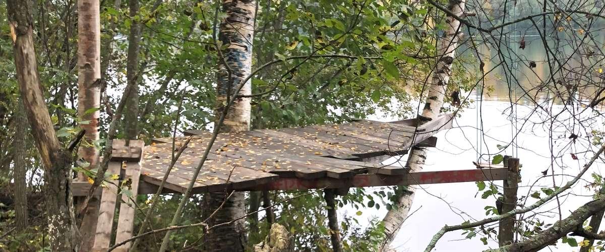 Längs stigen