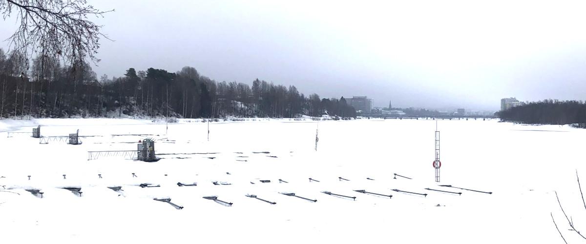 Lundåkern