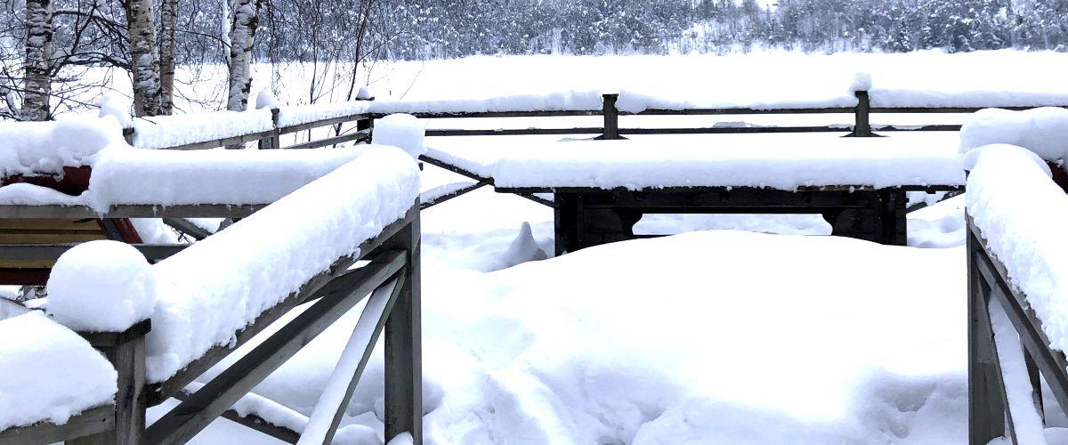 Fågeltorn