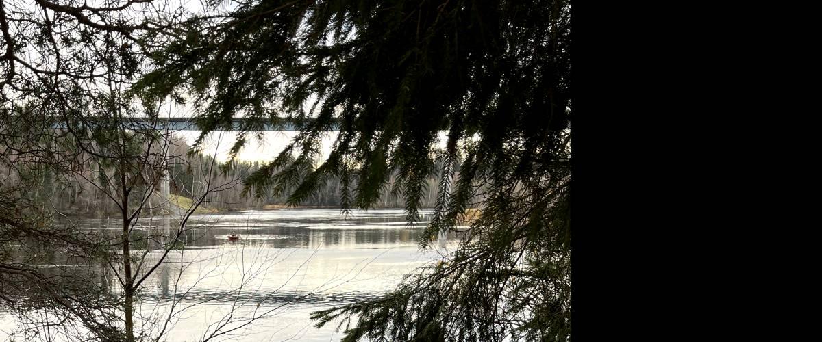 Baggbölebron Foto Sören Forss