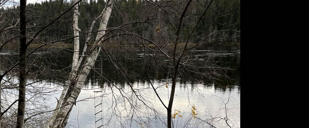 Älven nedströms Baggbölebron Foto Sören Forss
