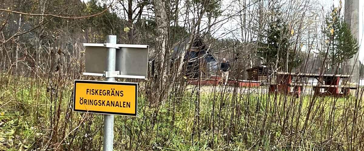 Baggböleören Foto Sören Forss