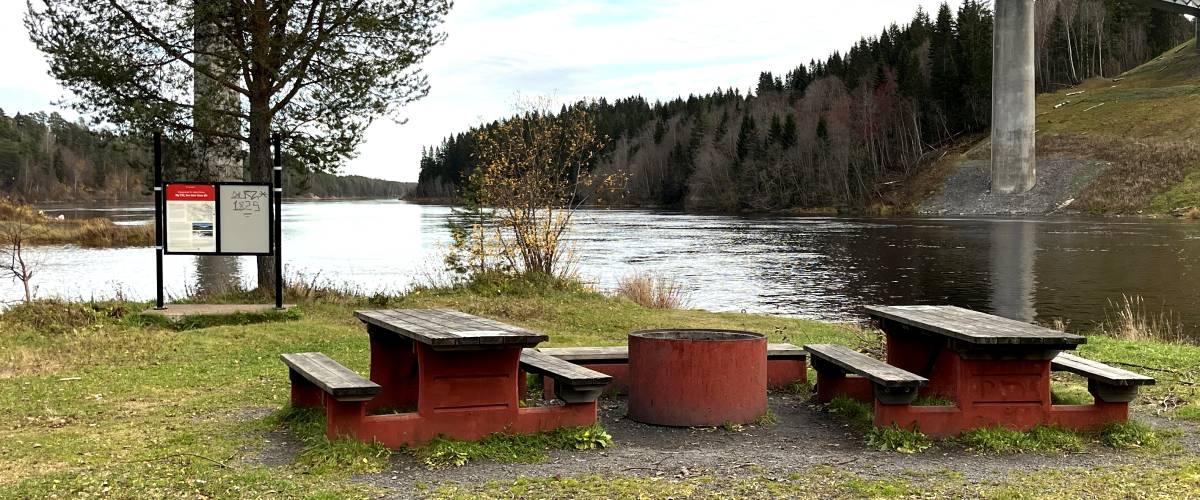 Baggböleören Foto Sören Forss