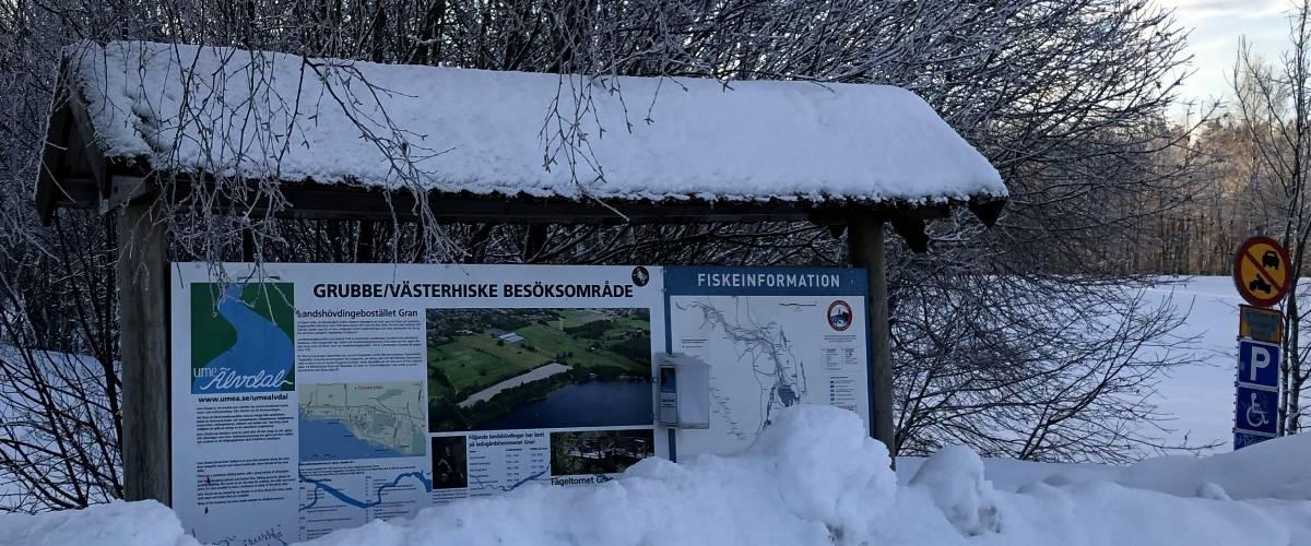 Grubbe-Västerhiske